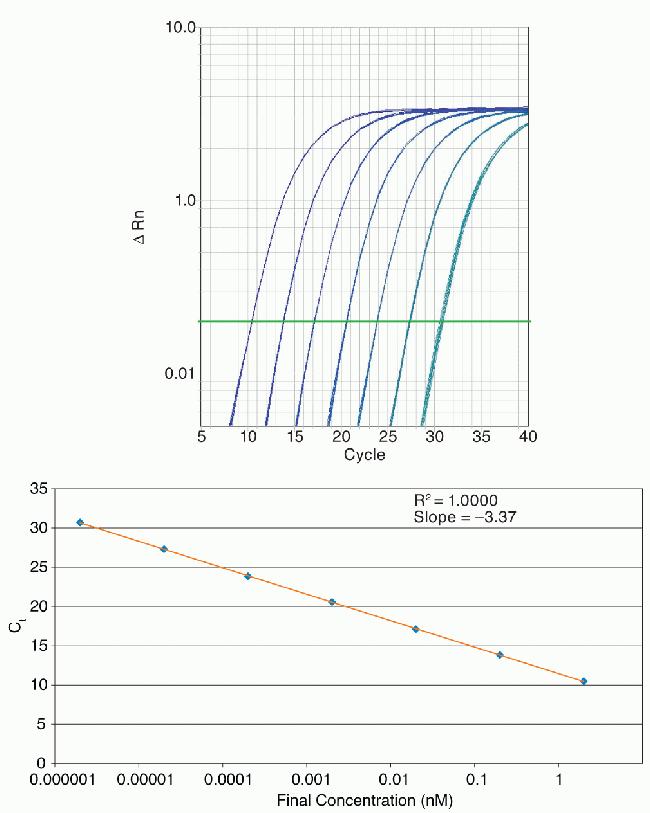 miRNA linear target amplification over a dynamic range of 6 orders of magnitude of input